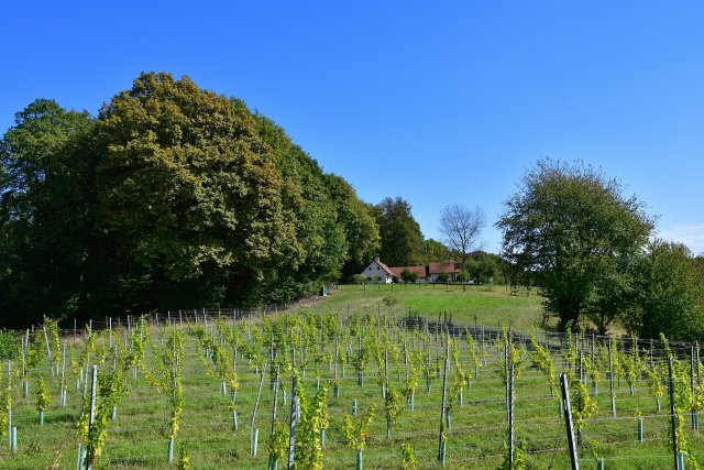 Ausflug Kapfenstein 6. Sept. 2025