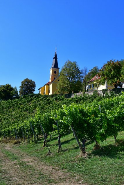 Ausflug Kapfenstein 6. Sept. 2025