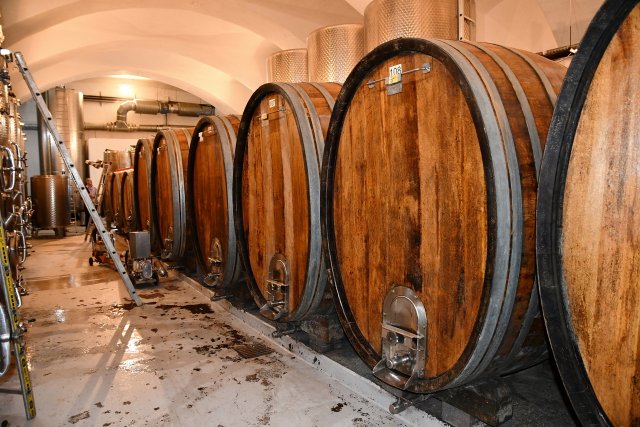 Ausflug Kapfenstein 6. Sept. 2025