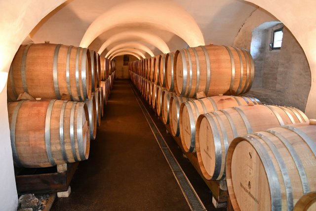 Ausflug Kapfenstein 6. Sept. 2025