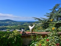 Ausflug Kapfenstein 6. Sept. 2025