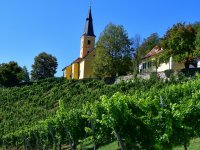 Ausflug Kapfenstein 6. Sept. 2025