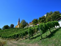 Ausflug Kapfenstein 6. Sept. 2025