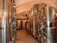 Ausflug Kapfenstein 6. Sept. 2025