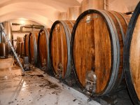 Ausflug Kapfenstein 6. Sept. 2025