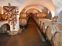 Ausflug Kapfenstein 6. Sept. 2025