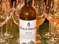 Ausflug Kapfenstein 6. Sept. 2025