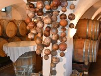 Ausflug Kapfenstein 6. Sept. 2025