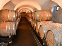 Ausflug Kapfenstein 6. Sept. 2025