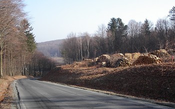 Landesstraße L401 mit Gemeindewald Landesstraße L401 mit Gemeindewald