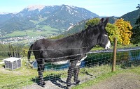 Ein sch&ouml;ner Tag am Elfenberg in Mautern