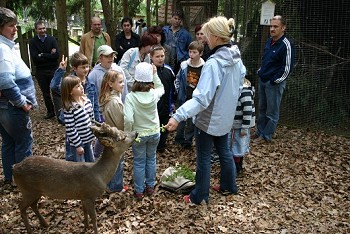 Info f&uuml;r den Naturwinkel Saufuss im Dreil&auml;ndereck