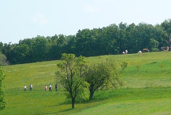 Wanderer im Bereich der Greut&auml;cker - im Hintergrund die Weide von Landwirt W. Strobl