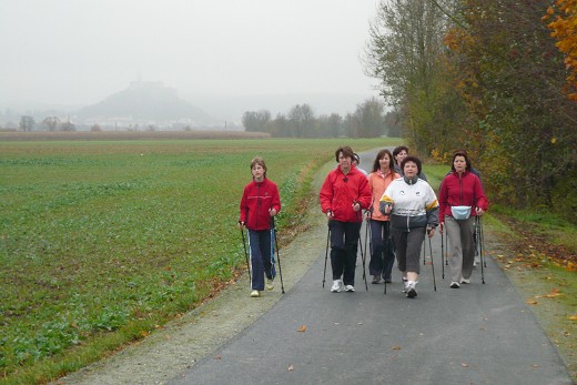 Unterwegs von G&uuml;ssing nach Gamischdorf