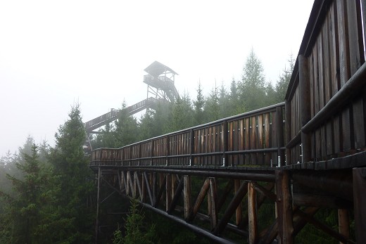 Tagesausflug zum Wipfelwanderweg Rachau