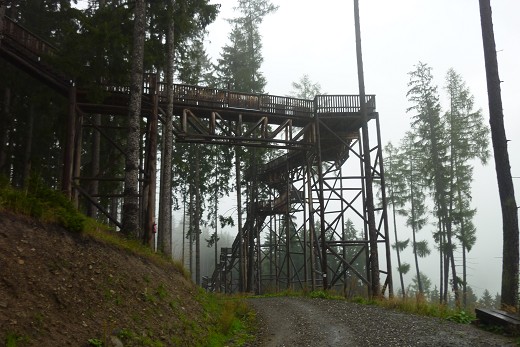 Tagesausflug zum Wipfelwanderweg Rachau