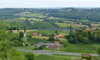 Weinwanderung in Kl&ouml;ch