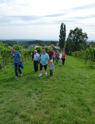 Weinwanderung in Kl&ouml;ch