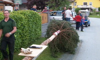 Maibaum 2014 beim Gh. Marth