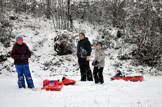 Wintervergn&uuml;gen im Unterberg am Dreik&ouml;nigstag 2016