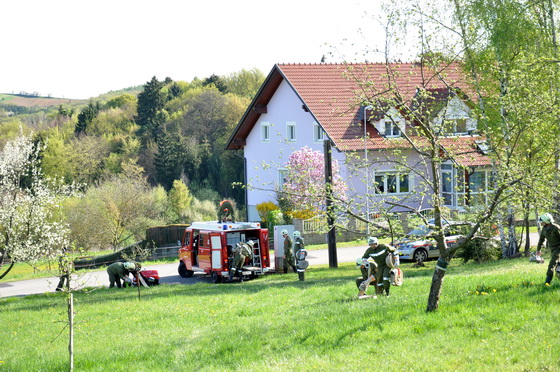 Inspektions&uuml;bung der Feuerwehr Kleinm&uuml;rbisch