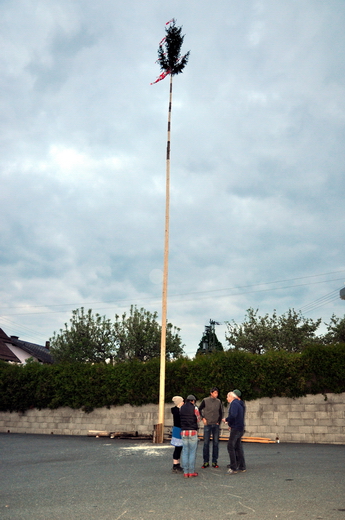 Maibaum-Aufstellen beim Gh. Marth