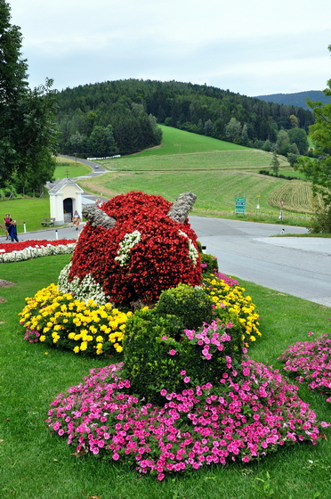 Tages-Ausflug ins Pöllauer Tal