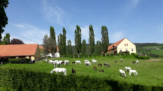Männerwallfahrt 2018 Männerwallfahrt 2018