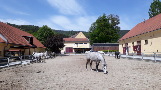 Männerwallfahrt 2018 Männerwallfahrt 2018