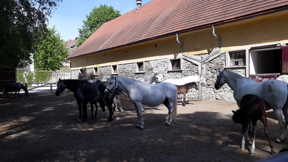Männerwallfahrt 2018 Männerwallfahrt 2018