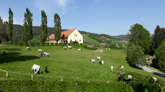 Männerwallfahrt 2018 Männerwallfahrt 2018