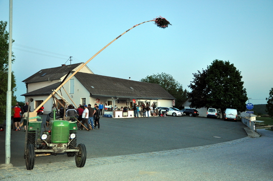 40. Maibaum für Gastwirt Josef Marth