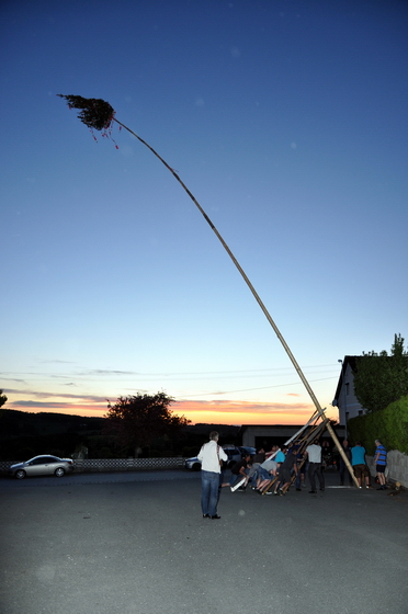 40. Maibaum für Gastwirt Josef Marth