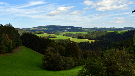 Tagesausflug am 9. Sept. nach Krumbach