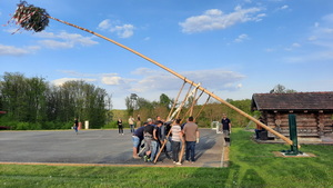 Maibaum-Aufstellen am 30. April 2022