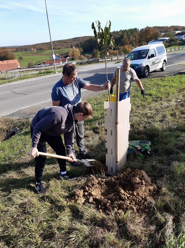 Baumpflanzaktion der Feuerwehrjugend in Kleinmürbisch