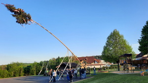 Maibaum-Aufstellen am 30. April 2023