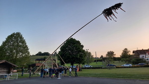 Maibaum-Aufstellen am 30. April 2024
