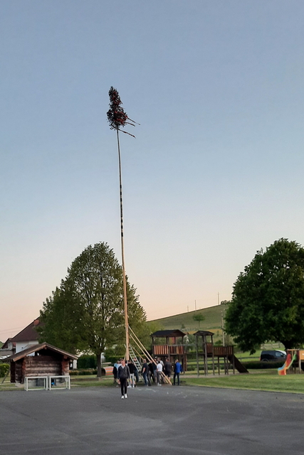 Maibaum-Aufstellen am 30. April 2024