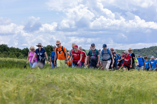 ORF-Burgenland-Wanderung macht Station in Kleinmürbisch