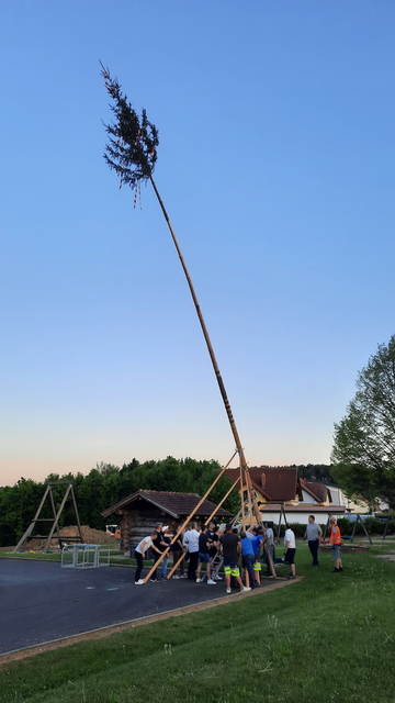 Maibaum-Aufstellen am 30. April 2025