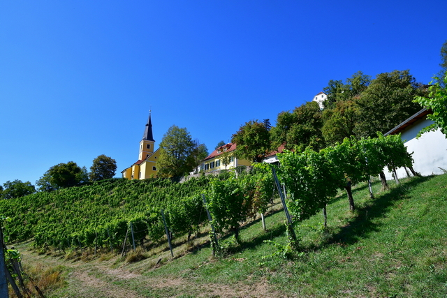 Tagesausflug nach Kapfenstein
