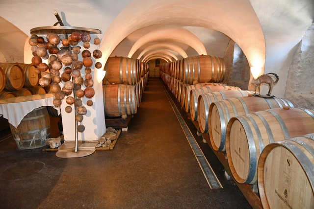Tagesausflug nach Kapfenstein